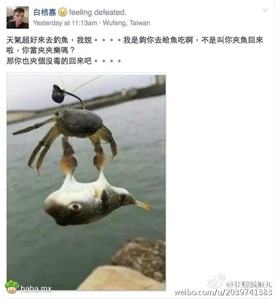 河豚你特么放开宝宝