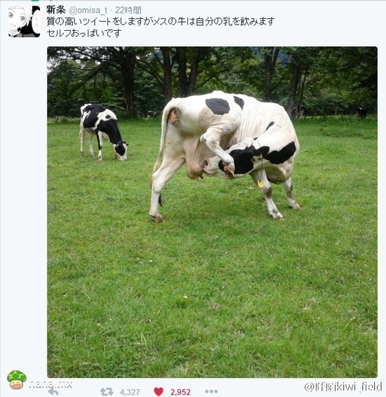 比自割腿肉更牛掰的是…自取其乳!